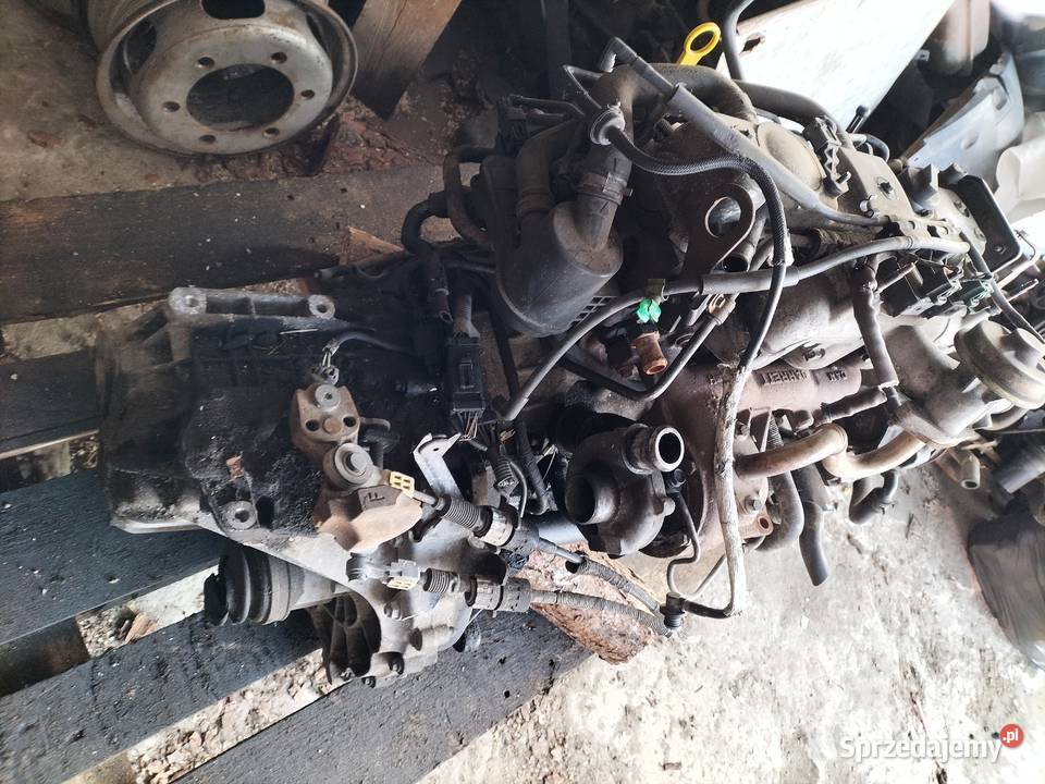 FORD FOCUS 18TDCI SILNIK SKRZYNIA BIEGÓW osobowe Kamień-Kolonia