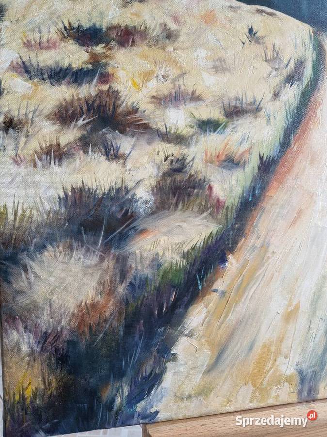 Bieszczady 100x70 olej na płótnie
