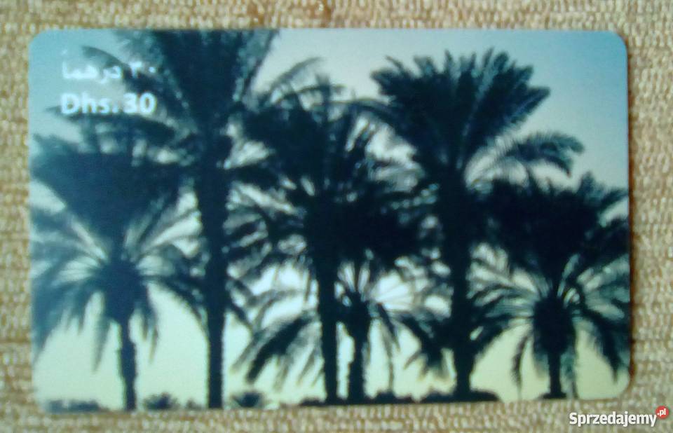 WIDOK NA PALMY O ZACHODZIE SŁOŃCA Piszczac