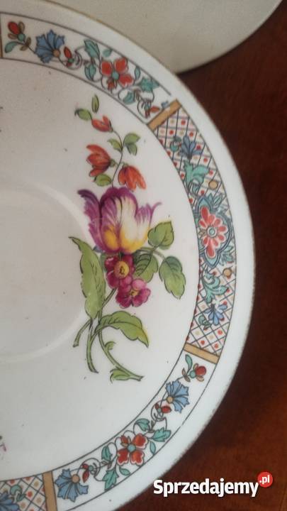 Mlecznik SHELLEY ENGLAND Zachwycający Gdańsk