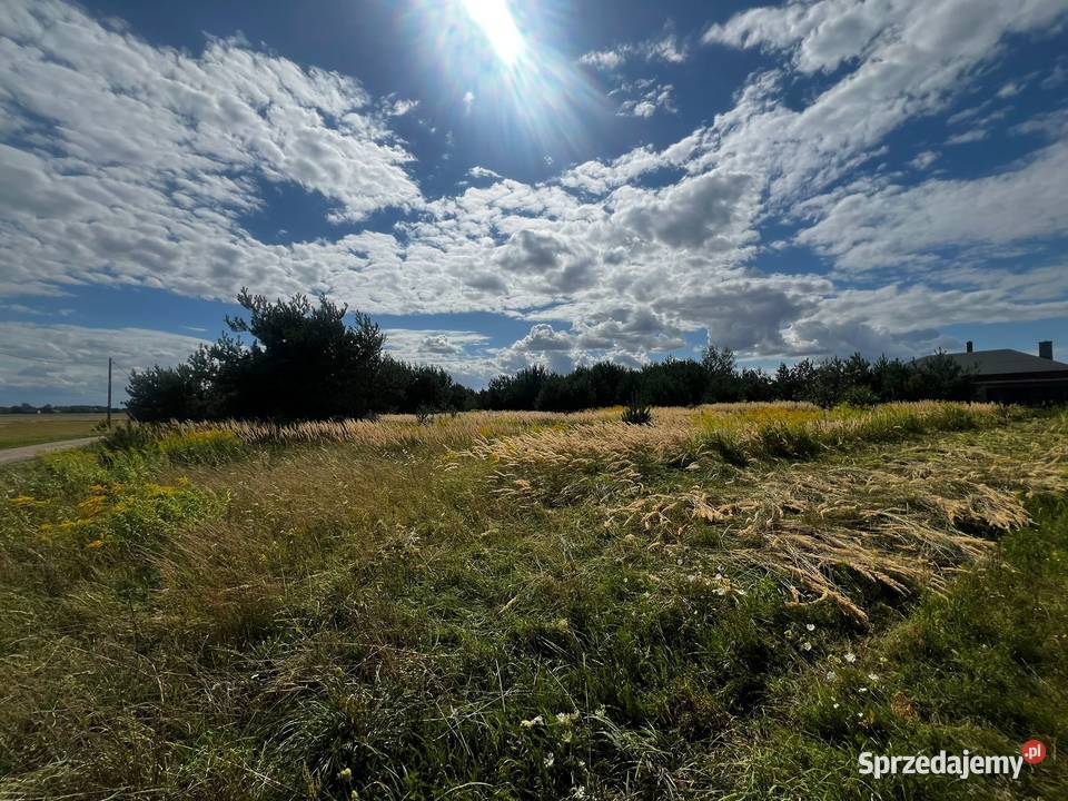 Działka w KwiatkówkuKampinos 1500m2 mazowieckie Kwiatkówek