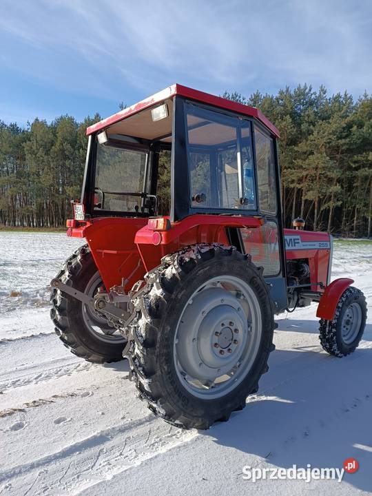 Massey Ferguson MF255 remoncie wspomaganie nowe Massey Ferguson Burzenin sprzedam