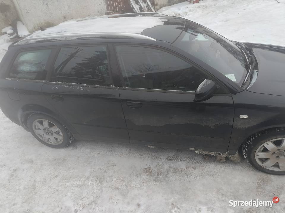 Audi A4B6 Wilkasy