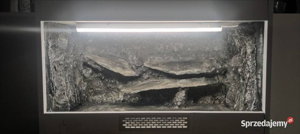 Okazja terrarium żółwia greckiego gekona Giżycko