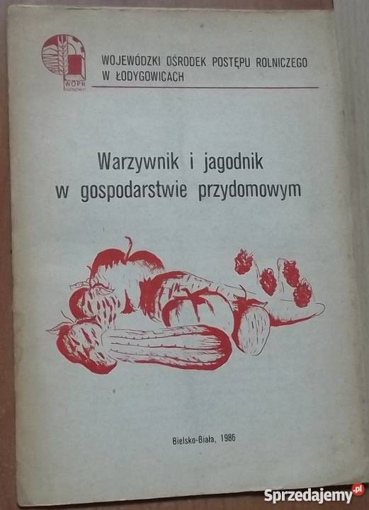 Sałata szpinak 12 mcy na działce Warzywnik i Oświęcim