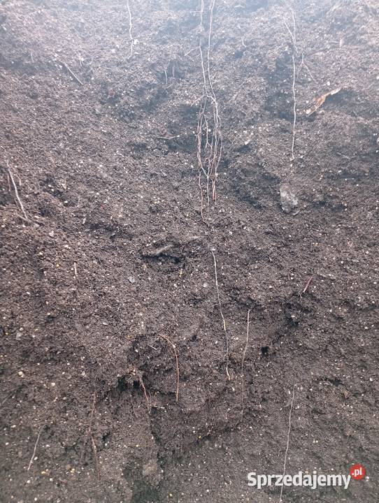 ziemia do ogrodu Nawozy i ŚOR Gorlice