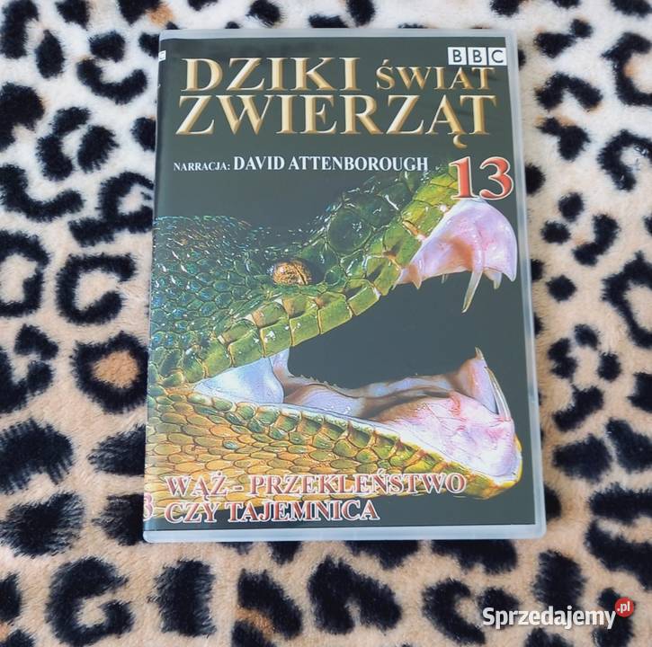 Dziki świat zwierząt BBC Lew Goryl Orka i inne DVD Kraków