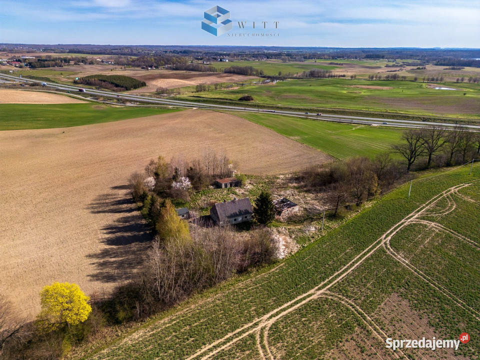 sprzedaży działki Leszczynka Mała 5000m2 Sprzedaż sprzedam