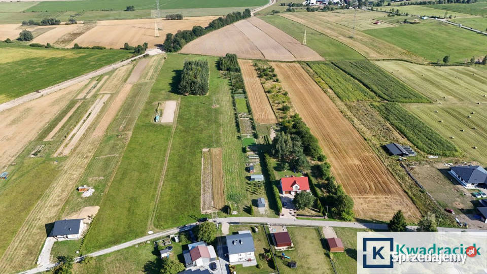 Działka Widacz 4890m2 13m Sprzedaż