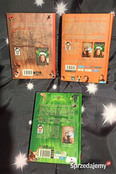 Czerwone krzesło Olbrzym Tajemnica mostu wielkopolskie Poznań