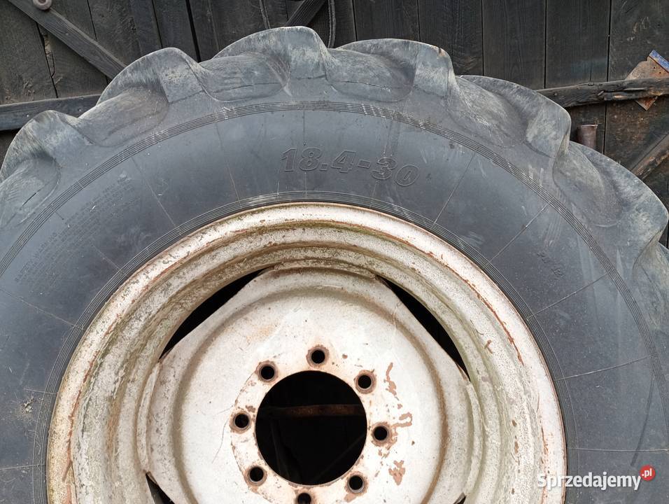 Opony Bizon Siennica Różana sprzedam