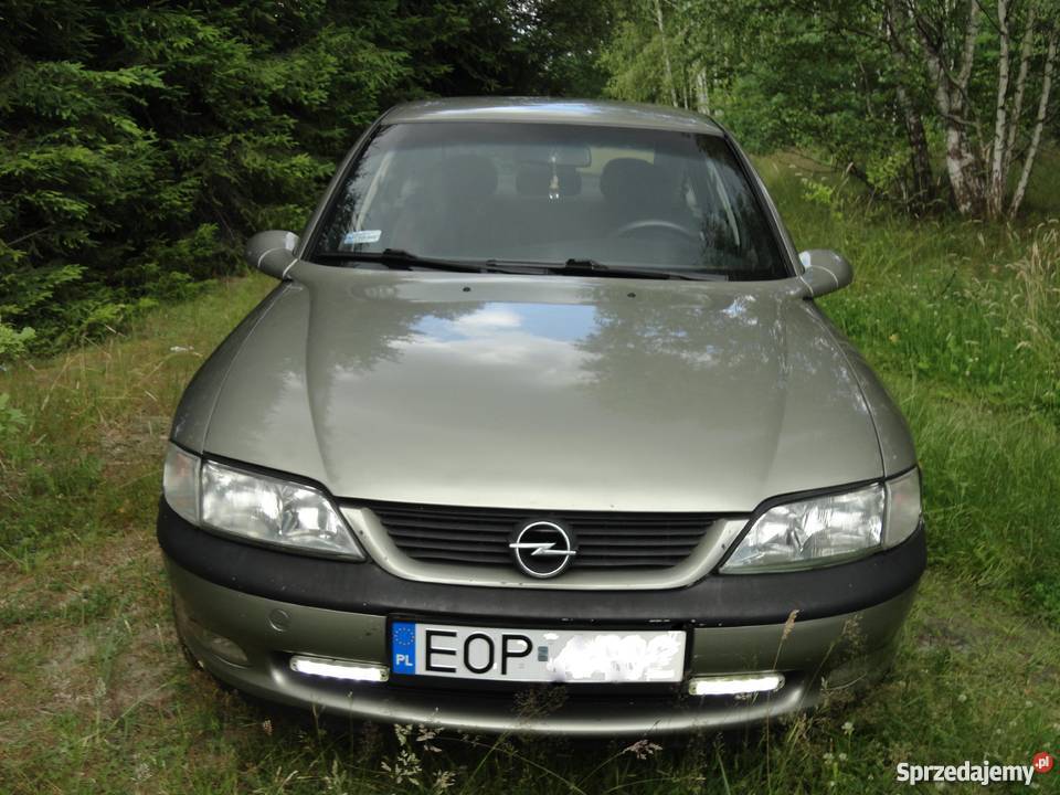 Opel Vectra B 20 16V 136 Vectra Opoczno