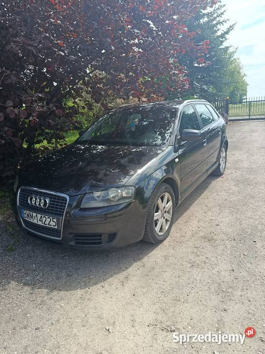 Audi A3 8P Andrzejewo