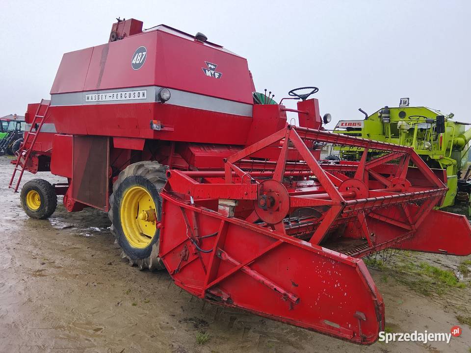 Kombajn zbożowy Massey ferguson 487 z Skaryszew