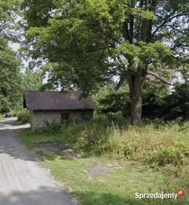 PasterkaGóry Stołowe Sprzedaż dolnośląskie Pasterka sprzedam