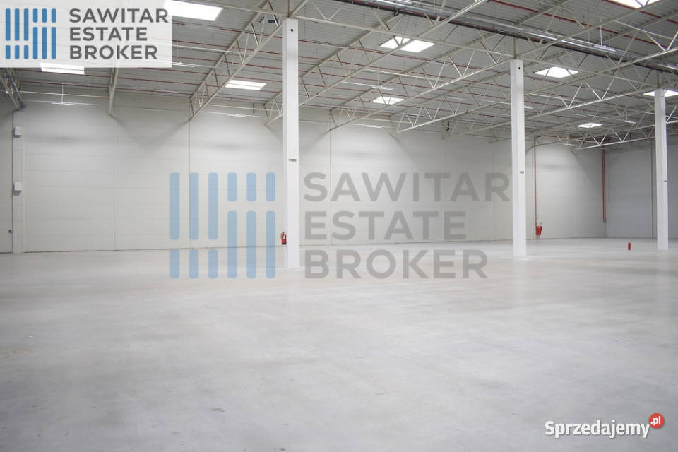 Hala klasy A Sosnowiecbez prowizji Sosnowiec