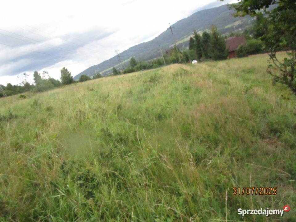 syndyk sprzeda działkę w Milówce 8zł/m2 śląskie Milówka