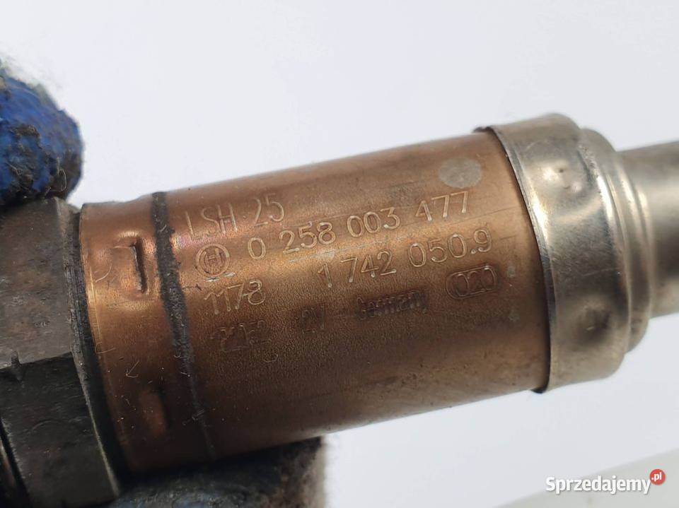 SONDA BMW E46 17420509 kujawsko-pomorskie Lipno