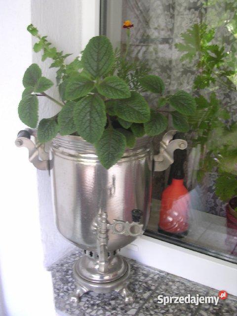 mieszkanie w Opolu Gospodarcza opolskie Opole