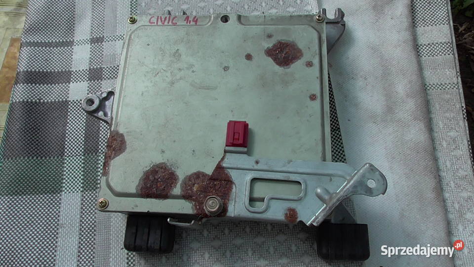 civic 6 komputersterownik14 świętokrzyskie Morawica