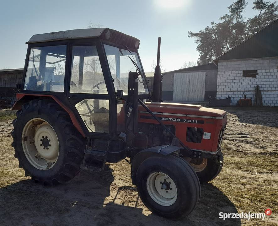 ZETOREK 7011 Ortel Królewski Drugi