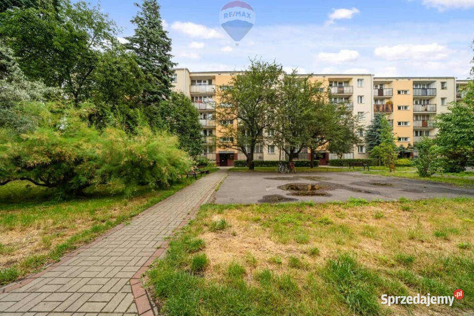 3pokojowe mieszkanie na wynajem Korotyńskiego piwnica mazowieckie Warszawa