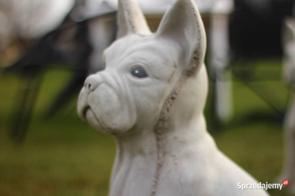 Figury rzeźby ogrodowe betonowe pies dolnośląskie Goliszów