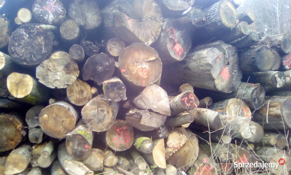 TANIE DREWNO KOMINKOWE I OPAŁOWE TRANSPORT Sławno