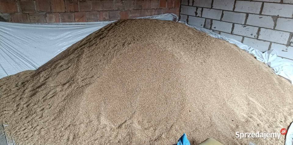 Jęczmień jary Farmer Zboża Antopol