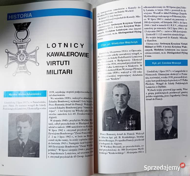 Przegląd wojsk lotniczych i obrony powietrznej Antyki, Sztuka, Kolekcje Koźminek