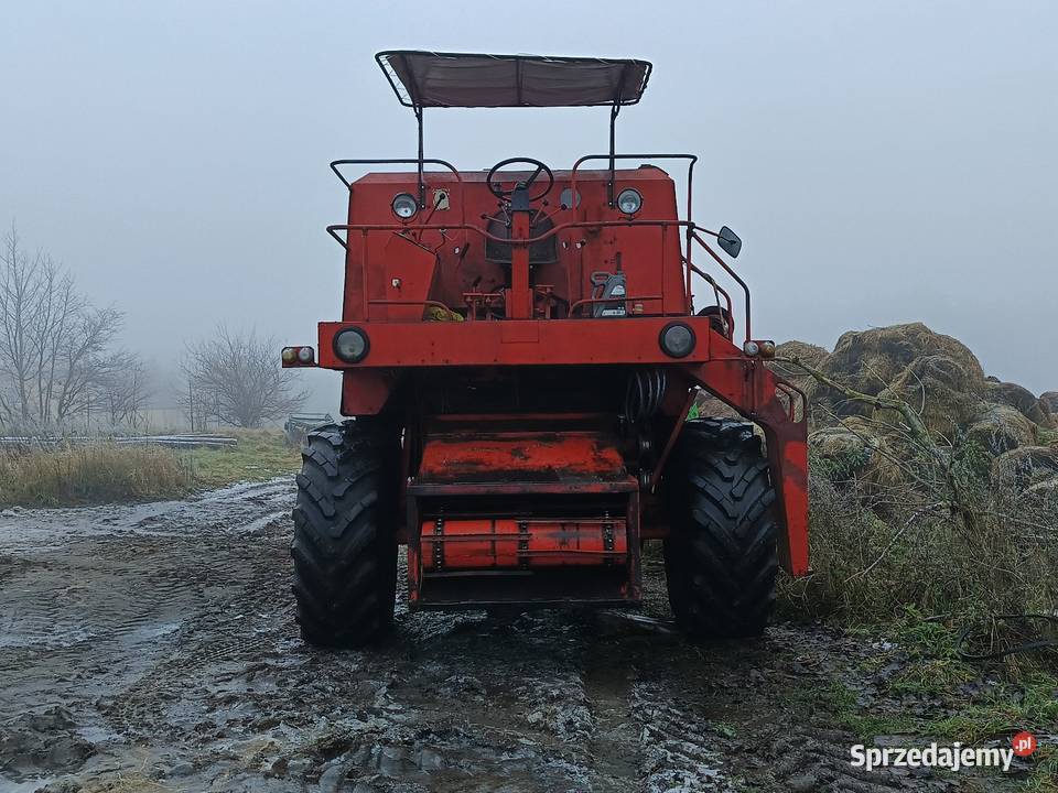 Bizon Z056 Super szuka domu Lubieszyn sprzedam