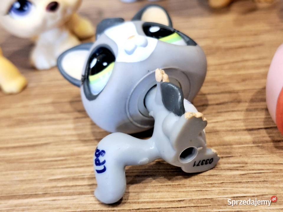 Wiewiórka latająca Littlest Pet Shop Hasbro warmińsko-mazurskie Braniewo