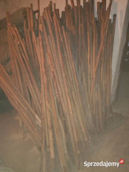 Tyczki paliki kostury Leżajsk sprzedam