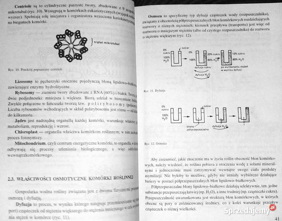 Biologia Vademecum maturzysty Ewa PyłkaGutowska