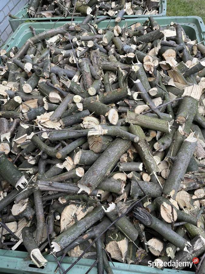 Zrębki opałowe jabłoniowe sprzedam Puławy