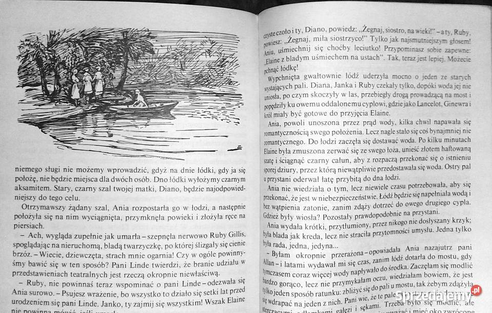 Ania z Zielonego Wzgórza Lucy Maud Montgomery Pozostałe