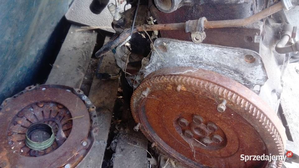 tdi osobowe Włodawa