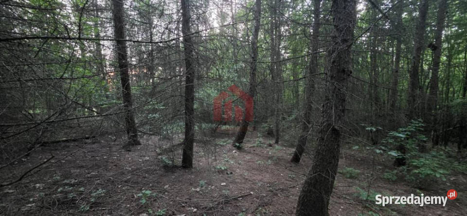 Sprzedaż działki 8500m2 Gogołów