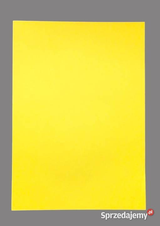 Papier ksero kolor żółty pastel 80g A4 90 kartek Artykuły szkolne