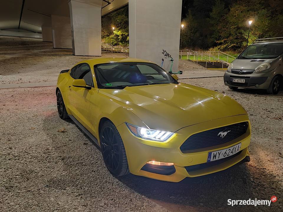 Ford mustang 37 Warszawa