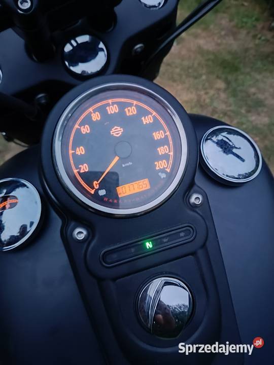 Harley Davidson łódzkie Gomunice