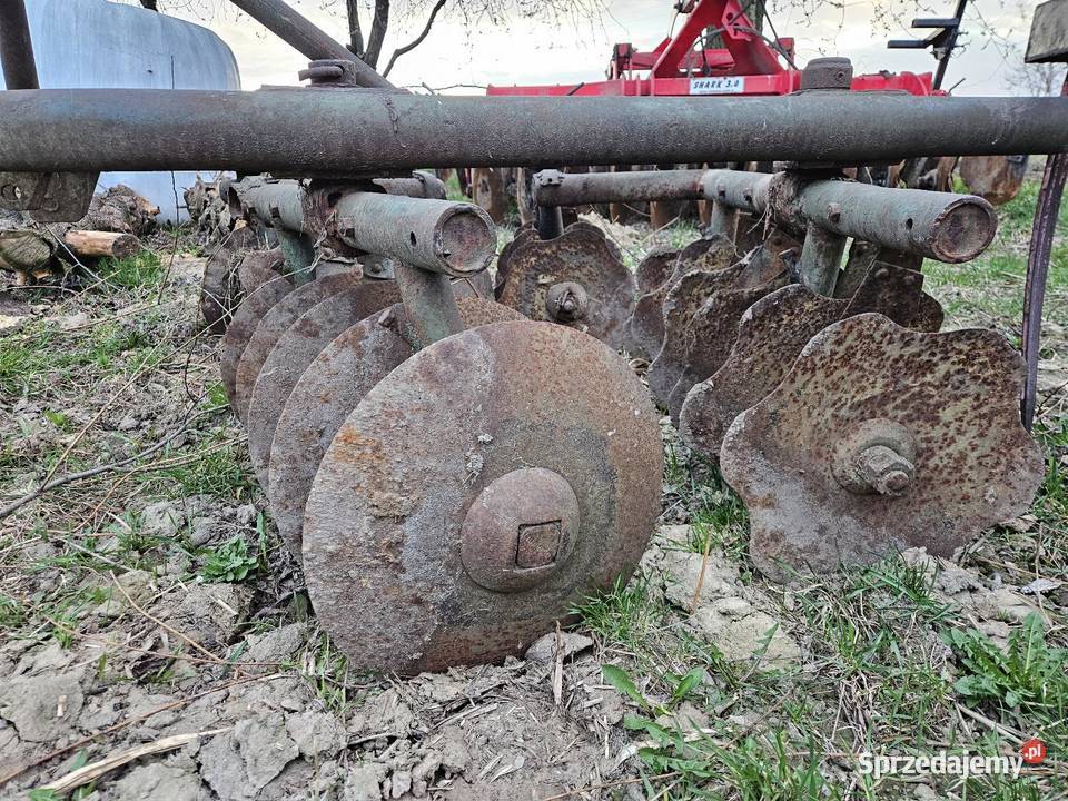 Talerzówka 16m Bielsk