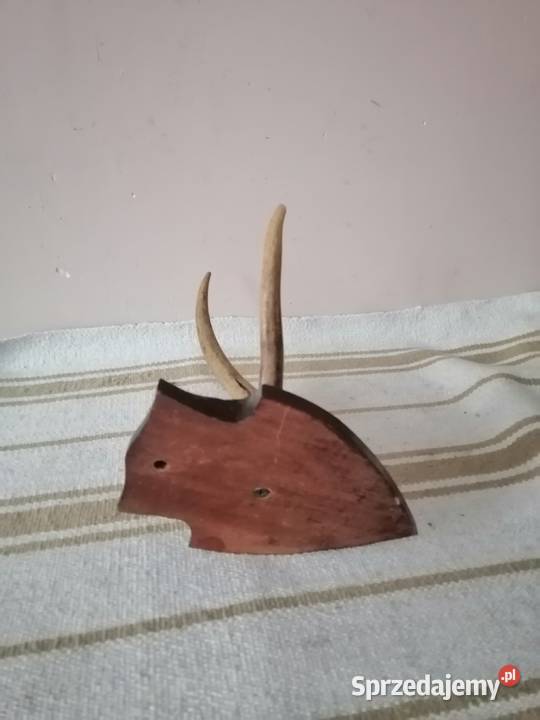 Poroże z podstawka Pozostałe Legnica