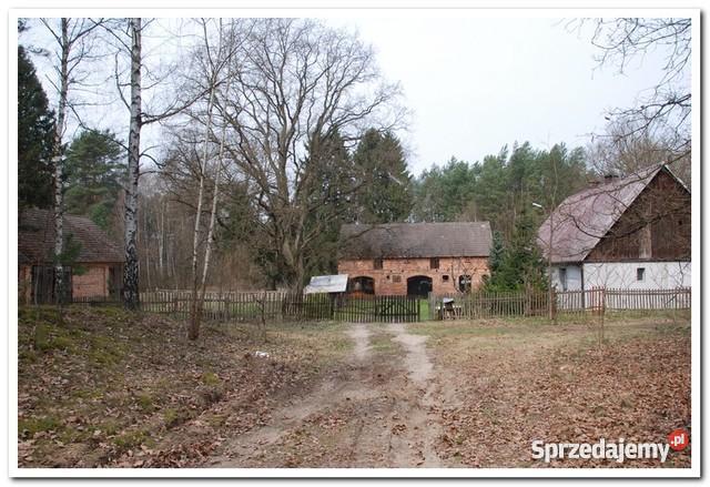 sprzedaży domu 100m2 Prądówka Prądówka