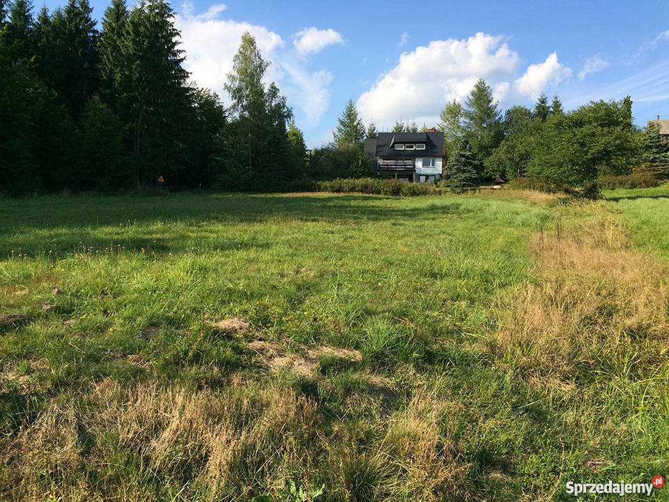 Działka budowlana w górach w Istebnej 7300m2 Istebna