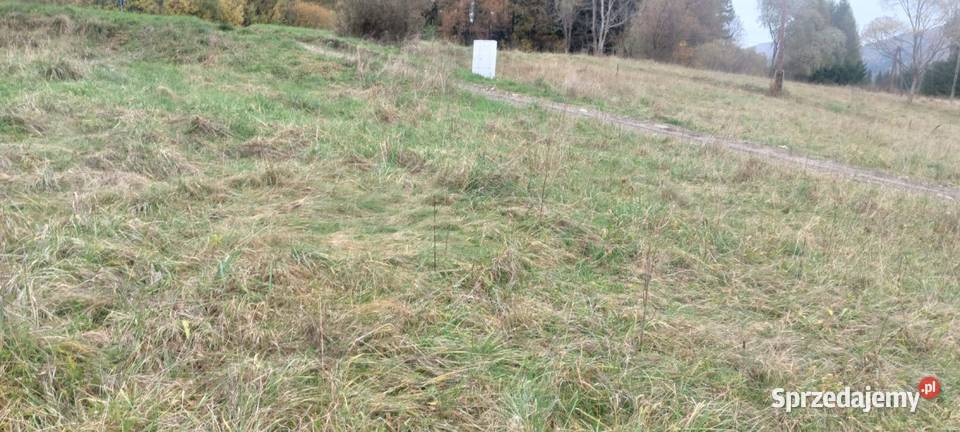 Działka budowlana w Hańczowej budowlana małopolskie Hańczowa