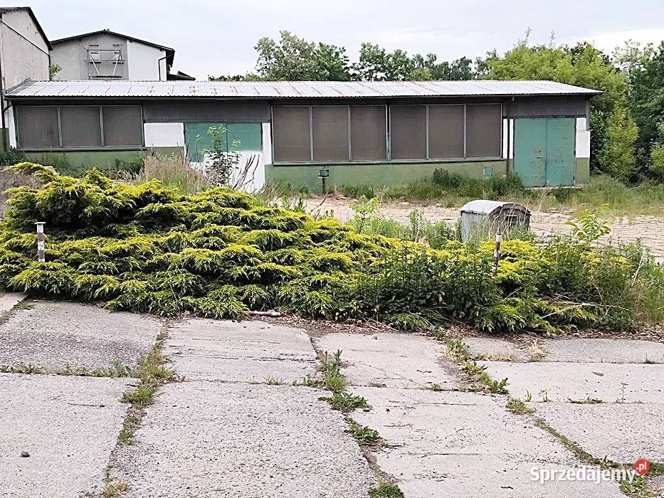 Hala do wynajęcia Rybnik