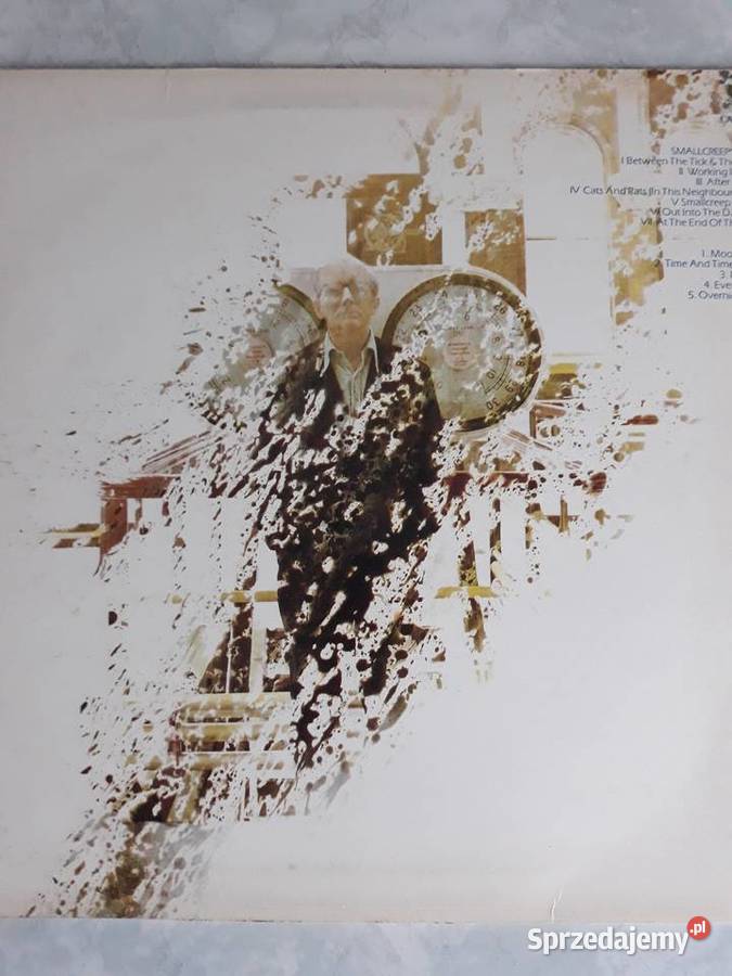 MIKE RUTHERFORD Smallcreeps Day płyta winylowa Rzeszów sprzedam