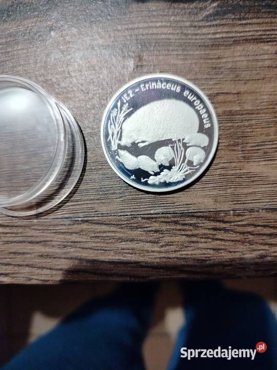 Srebrna Moneta kolekcjonerska 20 z 1996r Jeż Toruń
