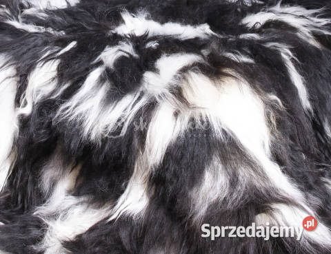 Narzuta ze skóry owczej islandzkiej czarnobiała